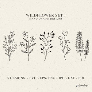 Wildflower set of five hand-drawn floral line art cliparts, black sketch plants