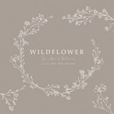 Wildflower Hand Drawn Line Art, Baby's Breath Line Art, Organic Botanical Wedding Line Art, Wildflower SVG, png transparent background.