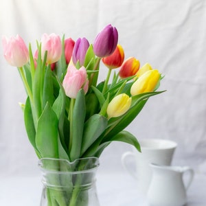Mixed spring tulip bunch with pink, purple, and yellow blooms in a clear glass vase