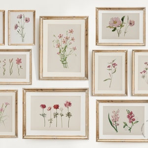 Set of 10 vintage botanical flower print posters in pink, framed in gold wood