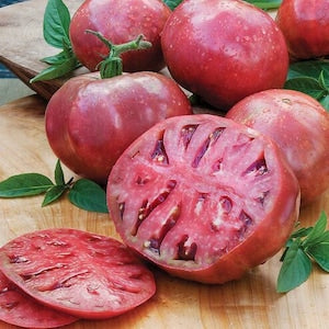 100 PURPLE CHEROKEE TOMATO Lycopersicon Lycopersicum Fruit Vegetable Seeds.