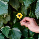 Individual Sunflower Glass Flower Stems