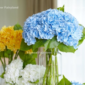Large light blue hydrangea flower stem with green leaves in clear vase