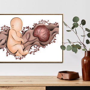 Framed baby and lotus illustration with placental diagram in soft brown tones