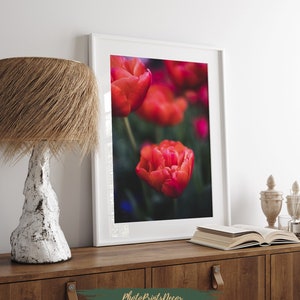 Framed floral poster with red tulip flowers in white border