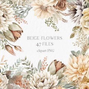 Beige watercolor flower and leaf clipart set with neutral boho bouquet elements, PNG