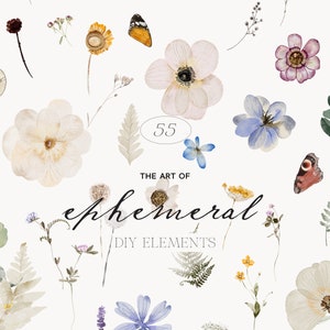Watercolor wild flower clipart sheet with pressed blossoms, butterflies, and botanical leaves