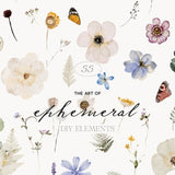 Watercolor wild flower clipart sheet with pressed blossoms, butterflies, and botanical leaves