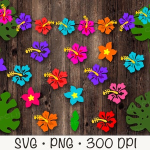 Colorful hibiscus flower garland bunting clipart set in SVG/PNG format