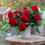 GERANIUMS 18"H Tall (Red, White or Pink) UV Protected Artificial Flower Arrangement | Outdoor Patio Porch Entryway Decor | Easter Gift