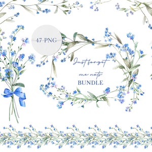 Blue forget-me-not floral clipart bundle with wreath borders and seamless pattern