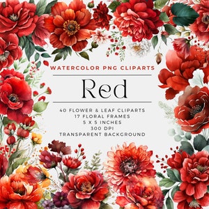Watercolor red flower clipart set with bouquets and leaves on transparent-style background