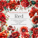 Red Flowers PNG, Watercolor Floral Clipart Bouquets, Elements, Commercial Use, Digital clipart PNG