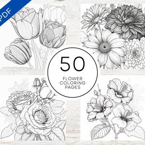 KDP Interior 50 Flower Coloring Pages For Adults | 8.5" x 11" Canva Template | Commercial Use Floral Coloring Sheets