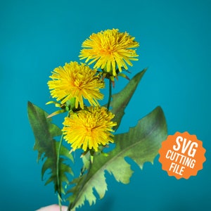 Dandelion paper flower SVG cutting file with dandelion blooms and leaves template