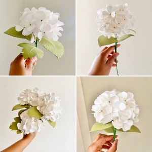 White paper snowball viburnum flower on green leaves, held by hands, DIY craft template