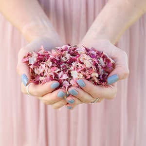 Dried flower confetti petals in hands, pink and burgundy mix, eco-friendly biodegradable