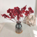 red butterfly flower bunch_dried flower for vase filler_flower arrangement_natural plant for wedding bouquet_home decoration_dry flower  art