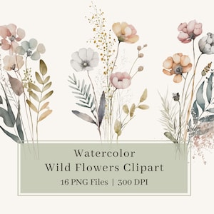 Watercolor wildflower clipart set with pastel blooms and stems on transparent-style background
