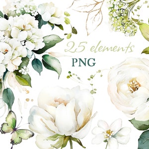Watercolor floral clipart set with cream white roses, green leaves, and butterflies, PNG