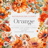 68 Orange Flowers PNG, Watercolor Floral Clipart Bouquets, Elements, Commercial Use, Digital clipart PNG