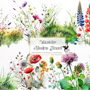Watercolor meadow flower clipart set with assorted wildflowers in a sheet