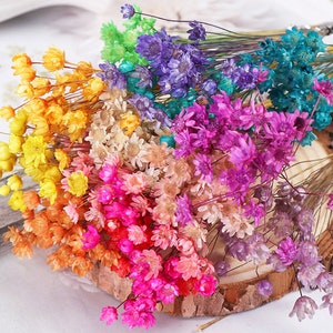 Dried star-shaped flowers bundle with mixed orange, pink, purple, blue, and green blooms