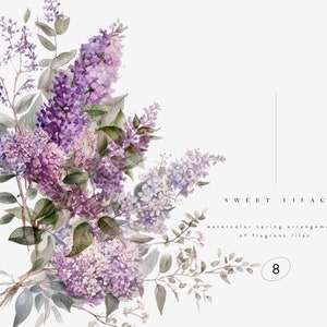 Watercolor lilac bouquet clipart with light purple flowers and green leaves