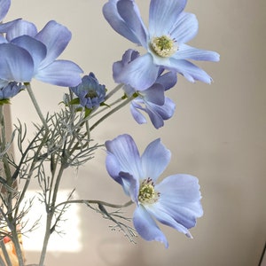 Light blue faux silk cosmos flower stem with five blooms and pale yellow centers