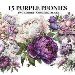 Watercolor peony floral clipart bundle with purple and white flowers