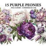 Purple & White Peonies Watercolor Clipart, Floral clipart, Summer flowers clipart, Peonies Bundle PNG, Instant Download
