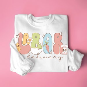 Light gray sweatshirt with colorful L&D bunny graphic and 'delivery' script