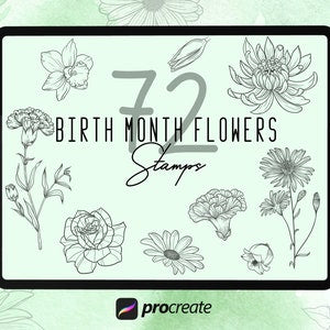72 Birthmonth Flowers Procreate Stencils