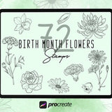 72 Birthmonth Flowers Procreate Stencils