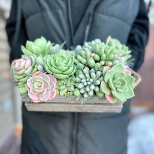 Handmade soap succulent bouquet in a wooden tray, with green, pink and cream flowers