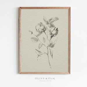 Framed botanical flower sketch print with pencil-style blossoms, light background.