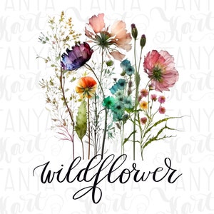 Wildflower floral illustration with chamomile and pink blossoms, with script text "wildflower"