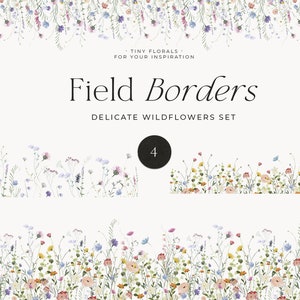 Watercolor wildflower border set with delicate field flowers, digital clipart PNG