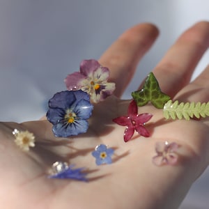 Assorted flower stud earrings with silver posts, multi-color botanical shapes