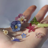 Natural flower earrings - 10 models to choose from - silver ear studs - asymmetrical or assorted ear studs - botanical