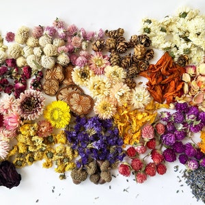 Wholesale Bulk Dried Flowers for Resin. 40 Variety For Choose.Suitable Soaps, Candles, Aromatherapy.10-20g/pack.Small Tiny Flowers