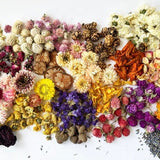 Wholesale Bulk Dried Flowers for Resin. 40 Variety For Choose.Suitable Soaps, Candles, Aromatherapy.10-20g/pack.Small Tiny Flowers