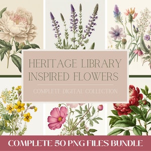Vintage flower illustration PNG bundle, 50-piece set featuring blooms and leaves