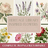 Vintage flower illustrations, Set of 50 - COMPLETE BUNDLE - Instant download - PNG file