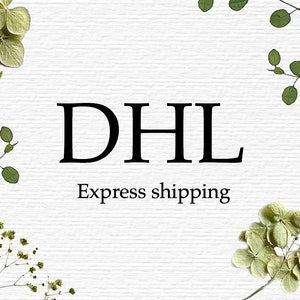 DHL Express shipping upgrade card with DHL logo and "Express shipping" text