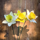 Ceramic Daffodil (1 pc) - Spring and Easter ceramic flower, handmade beige and yellow premium ornament, perfect pottery anniversary gift