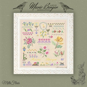 Framed vintage-style cross-stitch sampler chart with flowers, birds, and ornamental border