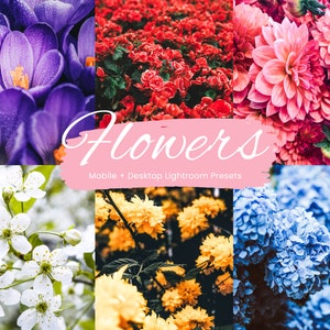 Flowers Lightroom presets cover with colorful flower collage and “Flowers” title