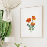 Marigold Floral Wall Art Print, October Birth Month Flower, Marigold Watercolor Printable, Flower Painting, Digital Download, Birthday Gift