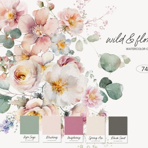Watercolor wildflower and eucalyptus clipart sheet with soft pink flowers and green leaves